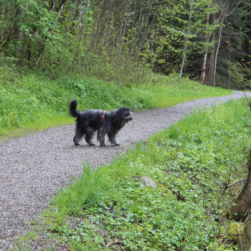 01 Im Mai im Allgäu